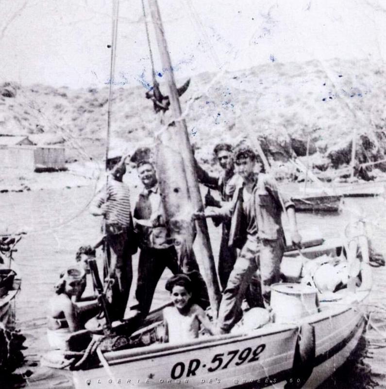 Oran- SDV- 0333.jpg